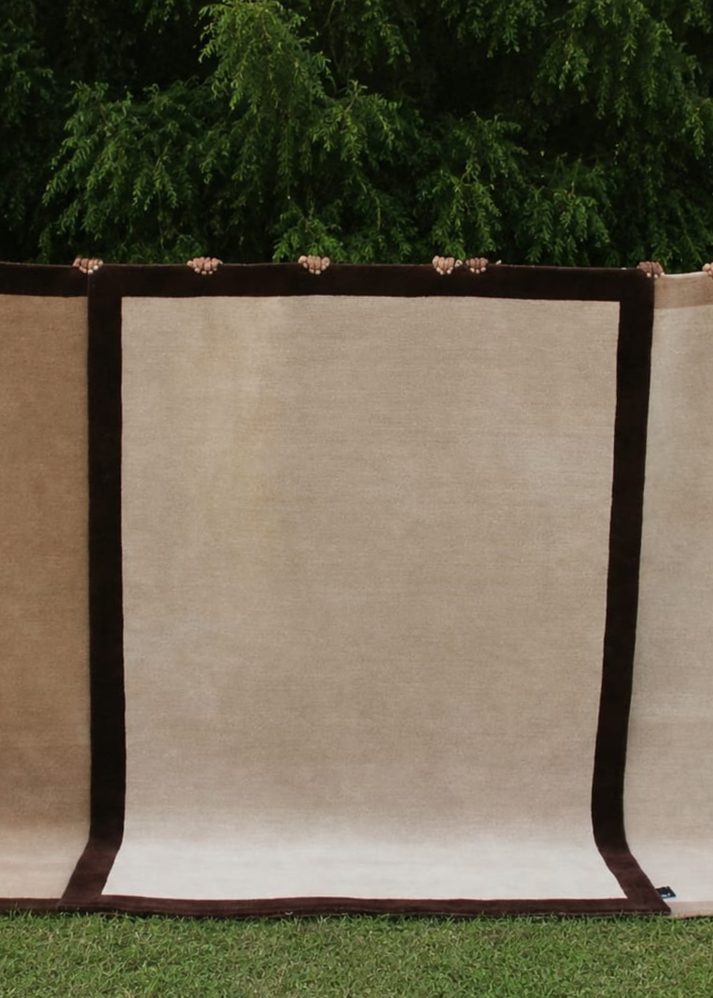Border Rugs