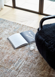 Birch - rugs Melbourne - Four Corners Rugs