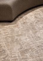 Fossil Beige and Grey Rug