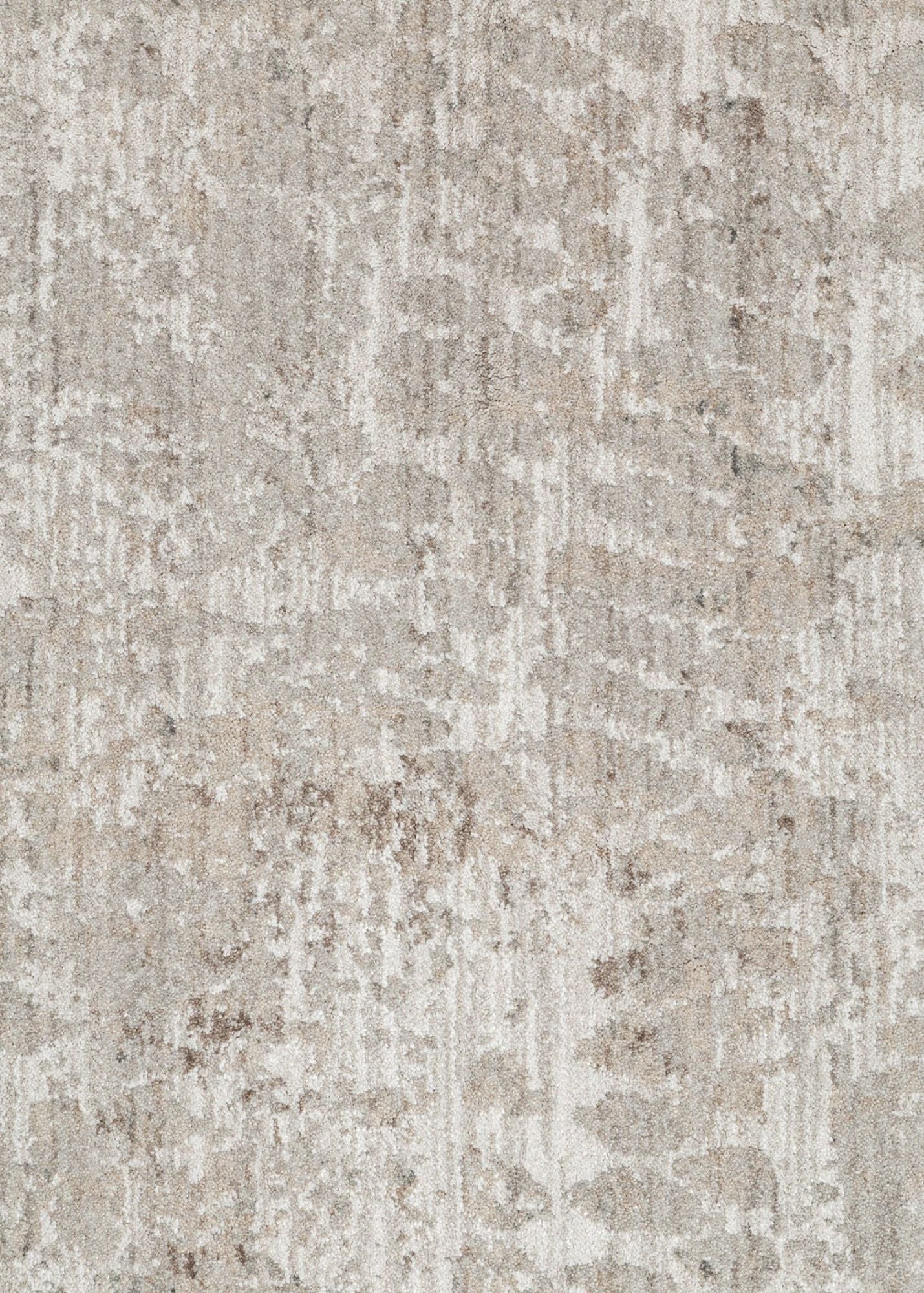 Fossil Beige and Grey Rug