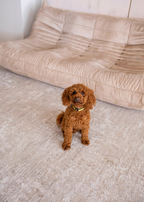 Fossil Beige and Grey Rug