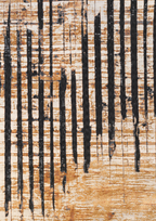 imersianvisualiserimage