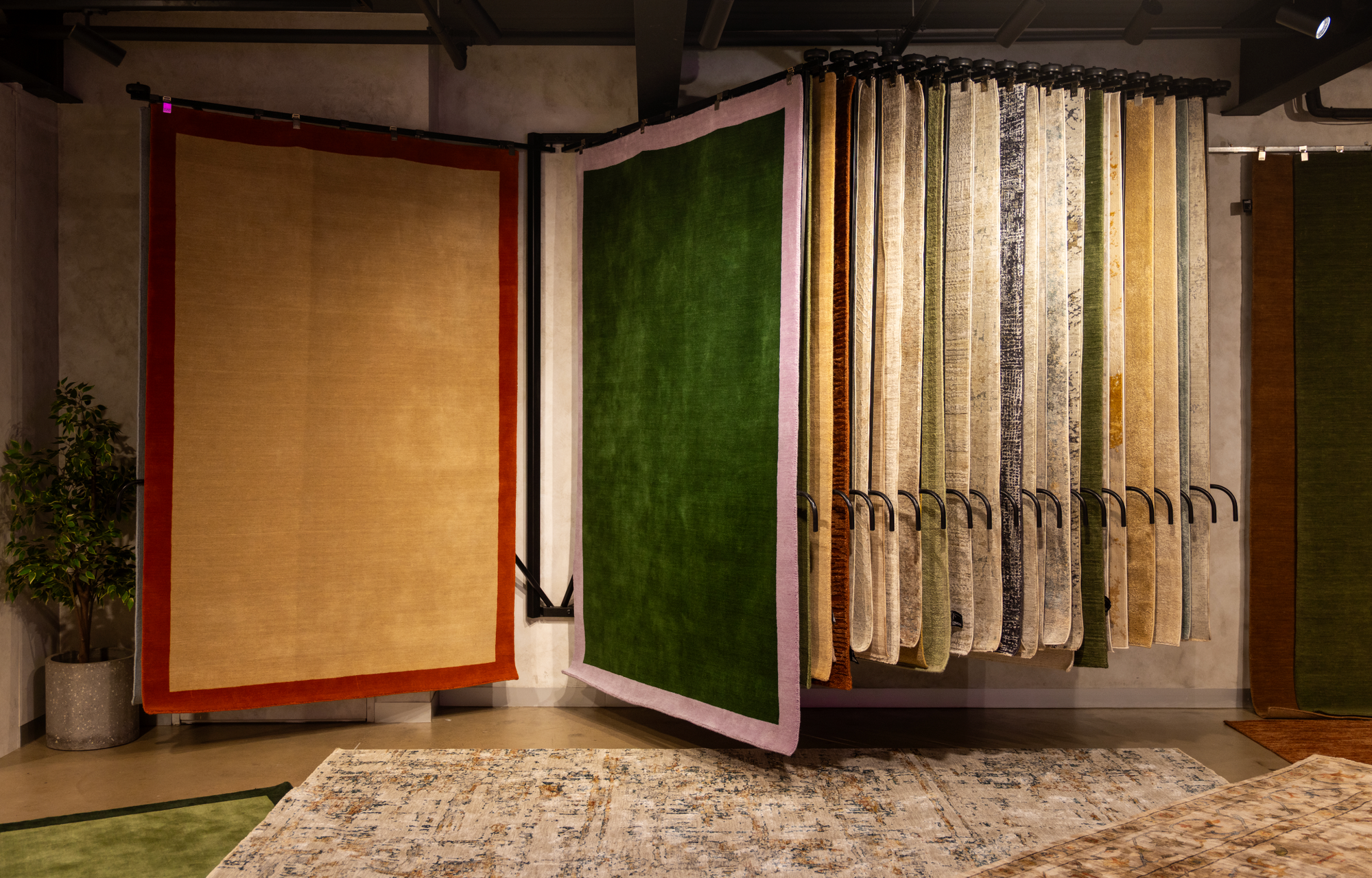Cream & Orange Border Rug (Colour Series)