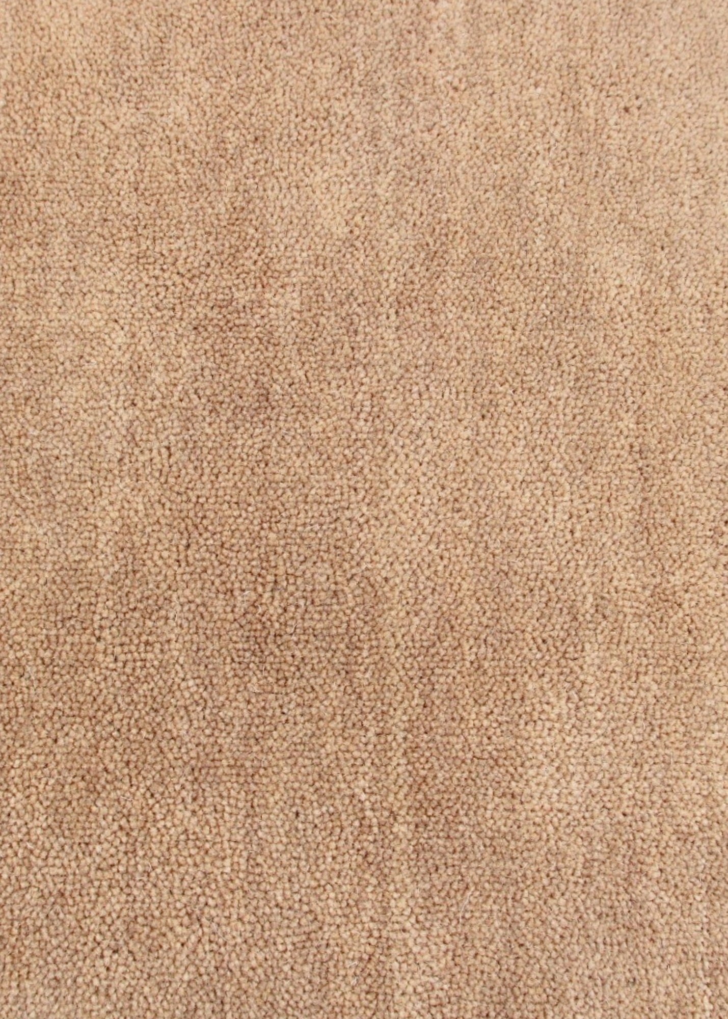 Camel & Olive Green Border Rug (Neutral Series) wool fibres