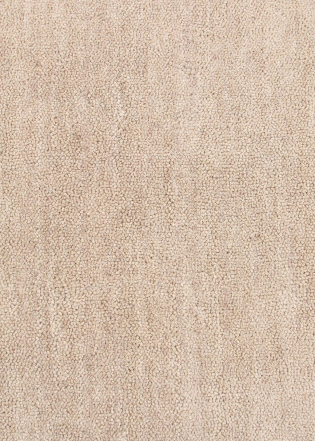 Cream & Camel Border Rug (Neutral Series) wool fibres