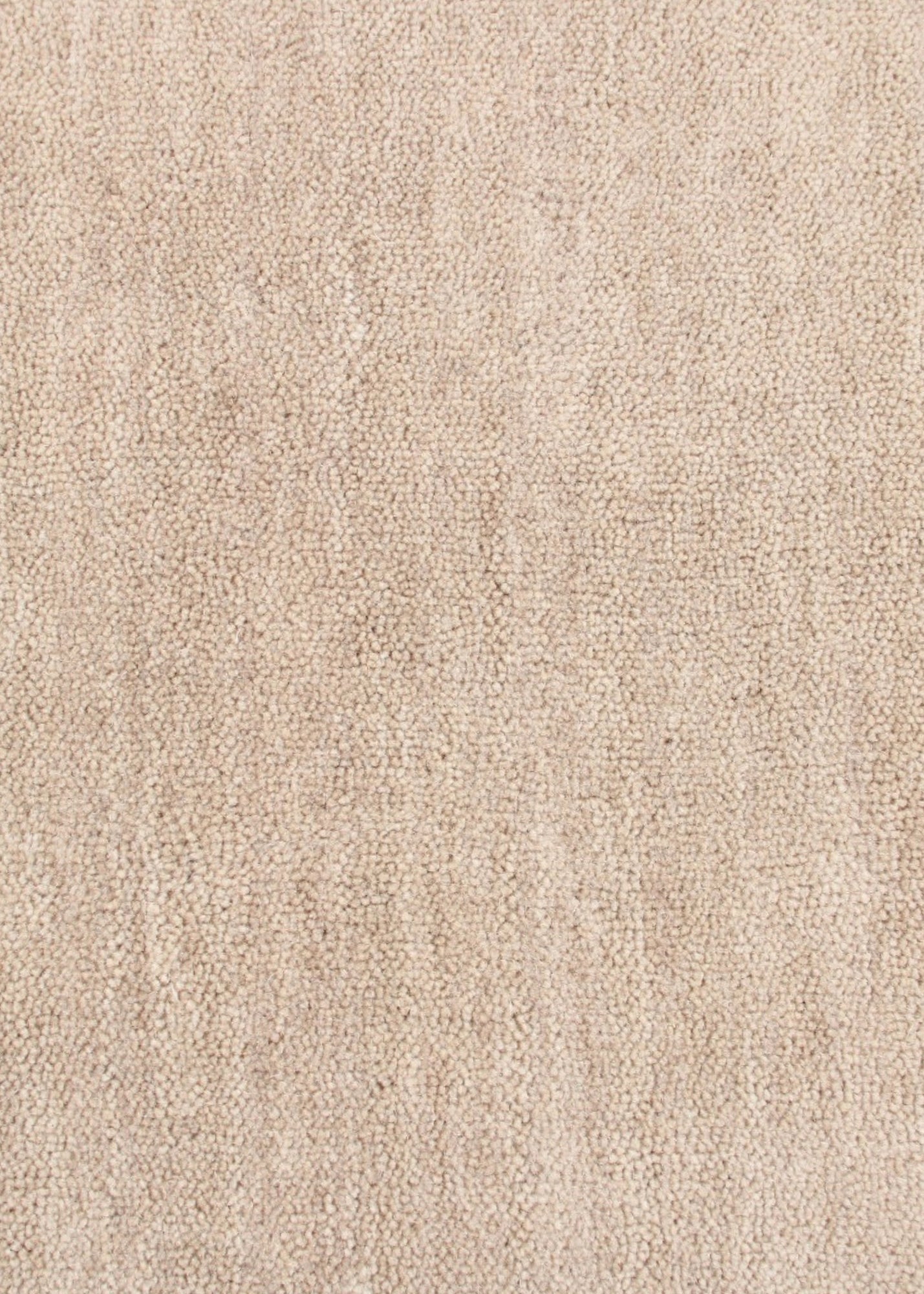 Cream & Camel Border Rug (Neutral Series) wool fibres