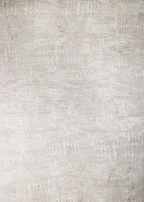 Fossil Beige and Grey Rug - Product Photo by Four Corners Rugs