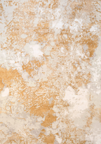 imersianvisualiserimage