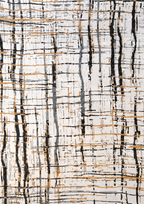 imersianvisualiserimage