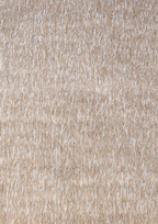 imersianvisualiserimage