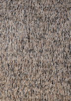 imersianvisualiserimage