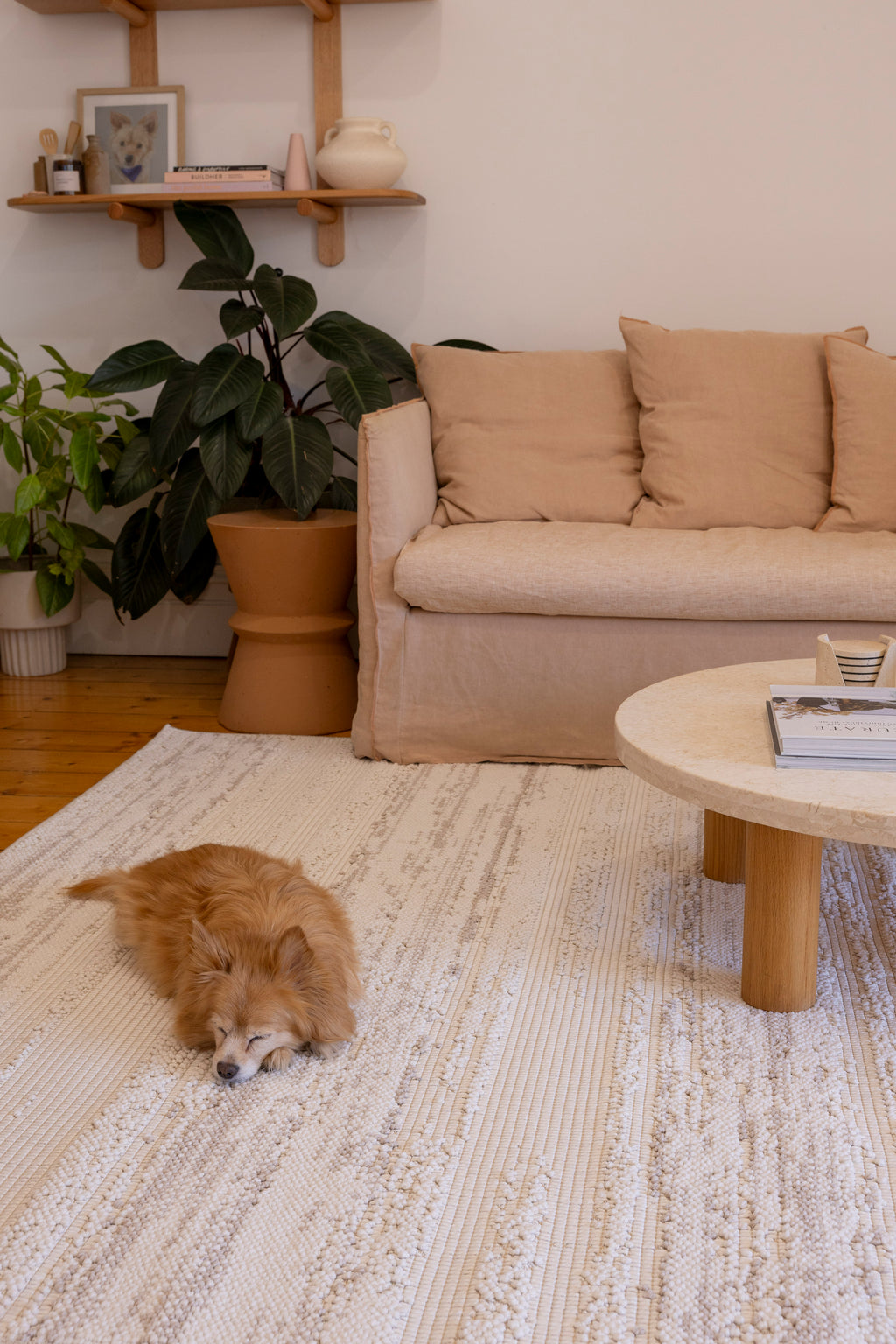 Living room with a beige sofa, coffee table, and a dog lying on Pebbles White Rug by Four Corners Rugs