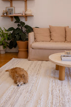 Living room with a beige sofa, coffee table, and a dog lying on Pebbles White Rug by Four Corners Rugs