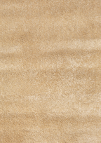 imersianvisualiserimage