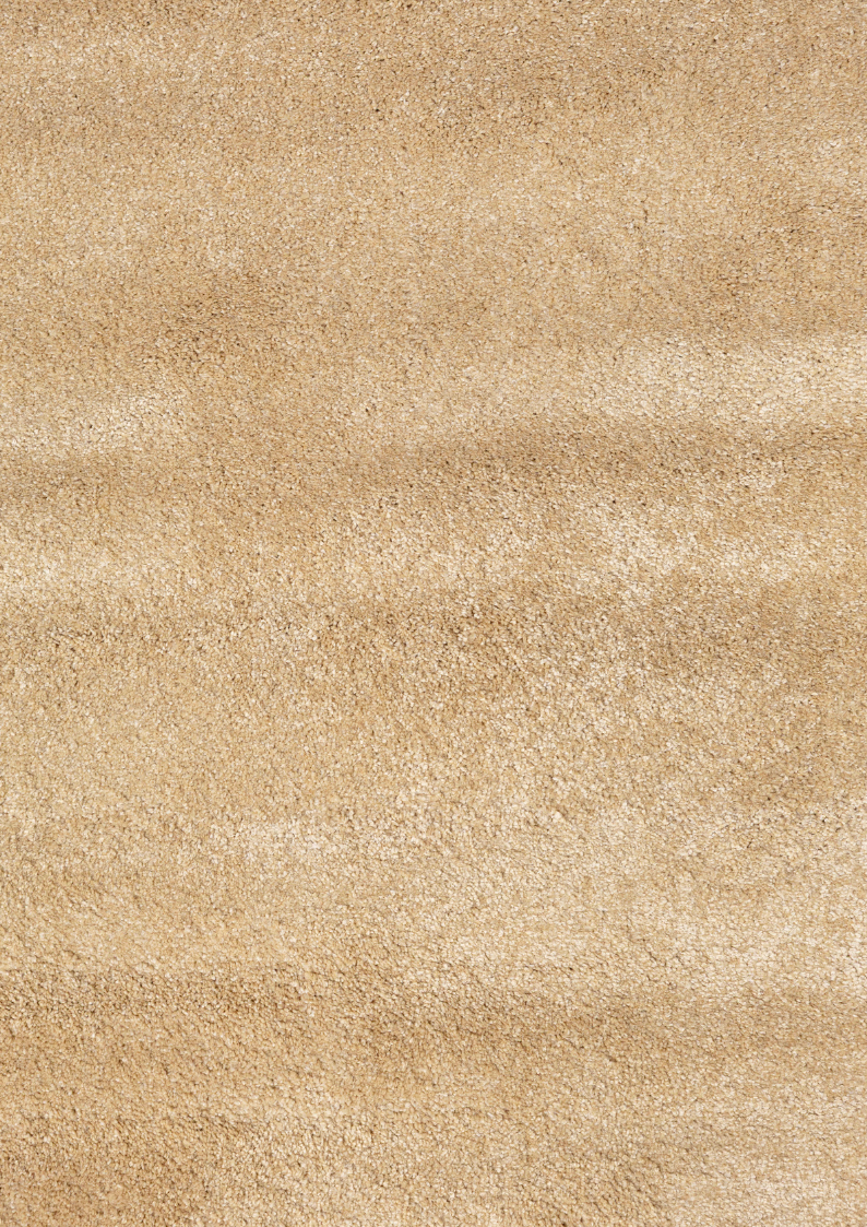 imersianvisualiserimage