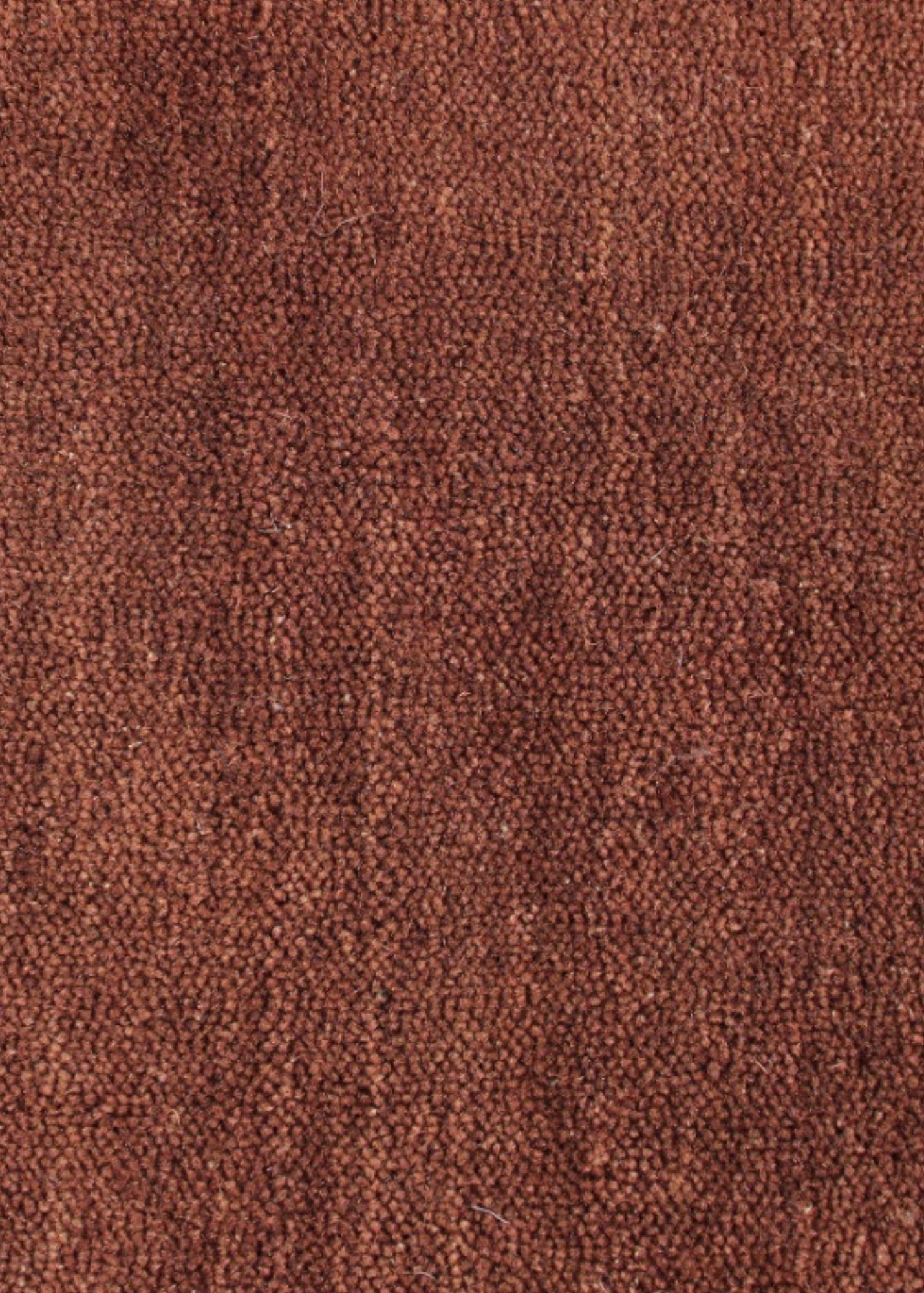 Rust & Cherry Border Rug (Neutral Series) wool fibres