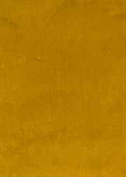 Mustard Velvet Cushion - Four Corners Rugs